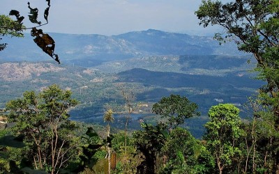 ഇലവീഴാപൂഞ്ചിറ ; മാമലകള്‍ക്കിടയില്‍ ഒരു സായാഹ്നം