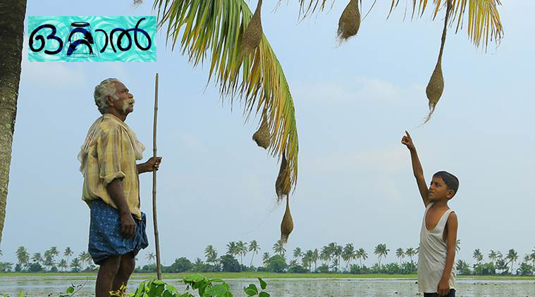 രണ്ടാമതു  രാജ്യാന്തര പ്രാദേശിക ചലച്ചിത്ര ഉത്സവത്തിന് കോട്ടയത്ത്‌ തുടക്കമായി