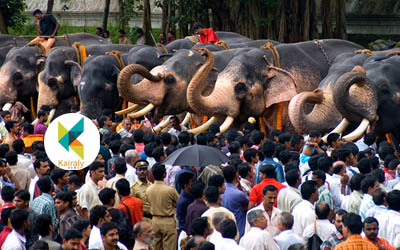 ആ​ന​വ​യ​റു നി​റ​ച്ച് സാ​യൂ​ജ്യ​മ​ട​യാ​ൻ വ​ട​ക്കു​ന്നാ​ഥ ക്ഷേ​ത്രത്തിലേക്ക് ഭക്തജനപ്രവാഹം