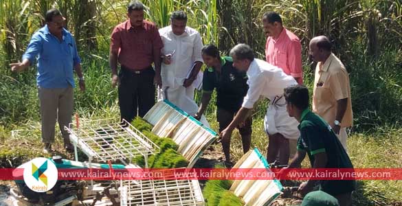 തരിശ് കിടന്ന ഏറ്റുമാനൂര്‍ ചെറുവാണ്ടൂര്‍ പാടശേഖരം വീണ്ടും ഹരിതമയമാകുന്നു