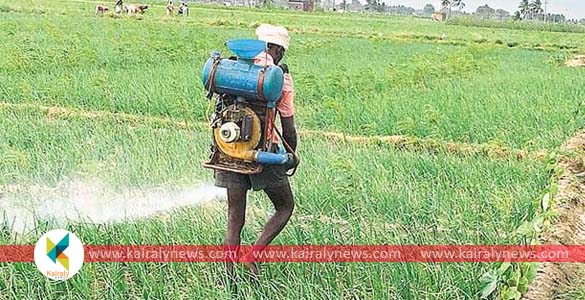 പാ​ട​ത്ത് കീ​ട​നാ​ശി​നി ത​ളി​യ്ക്കു​ന്ന​തി​നി​ടെ അ​സ്വ​സ്ഥ അ​നു​ഭ​വ​പ്പെ​ട്ട രണ്ട് ക​ര്‍​ഷ​ക​ര്‍ മ​രി​ച്ചു