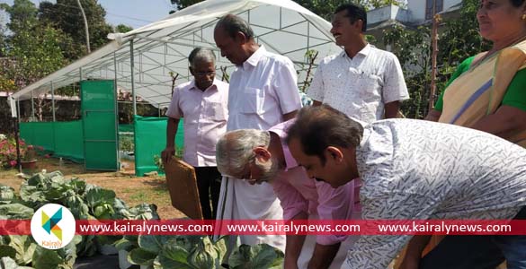 നവജീവനിലെ അന്തേവാസികള്‍ക്ക് വേറിട്ട അനുഭവമായി പച്ചക്കറി വിളവെടുപ്പ് ഉത്സവം