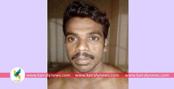 കാറിലെത്തി സ്ത്രീയുടെ മാല കവര്‍ന്ന സംഭവത്തില്‍ കടനാട് സ്വദേശി അറസ്റ്റിൽ