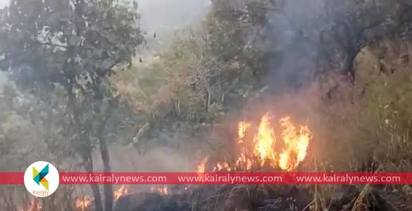 വയനാട്ടിൽ വീണ്ടും കാട്ടുതീ; ബാണാസുര മലയിൽ പടരുന്ന തീ  നിയന്ത്രണവിധേയമെന്ന് വനംവകുപ്പ്