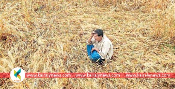 കാര്‍ഷിക വായ്പകളുടെ മൊറട്ടോറിയം കാലാവധി ദീര്‍ഘിപ്പിക്കും; ആനുകൂല്യം രണ്ട് ലക്ഷമാക്കും