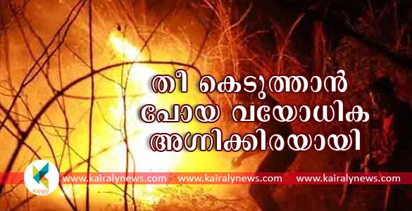 നെയ്യാറ്റിന്‍കരയില്‍ റബര്‍ തോട്ടത്തിലെ തീ അണയ്ക്കാന്‍ പോയ വയോധികയ്ക്ക് ദാരുണാന്ത്യം