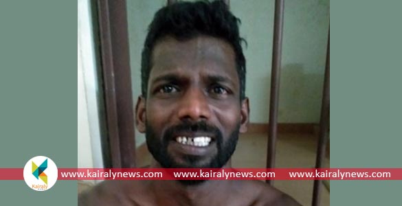 പ്രായപൂർത്തിയാകാത്ത പെൺകുട്ടിക്കെതിരെ ലൈംഗികാതിക്രമം; യുവാവ് പിടിയിൽ