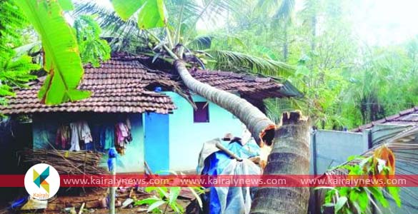 തീച്ചുടിൽ ഉരുകിയ പാലക്കാടിനെ കുളിരണിയിച്ച് വേനൽമഴ; വ്യാപകമായി കൃഷിനാശവും