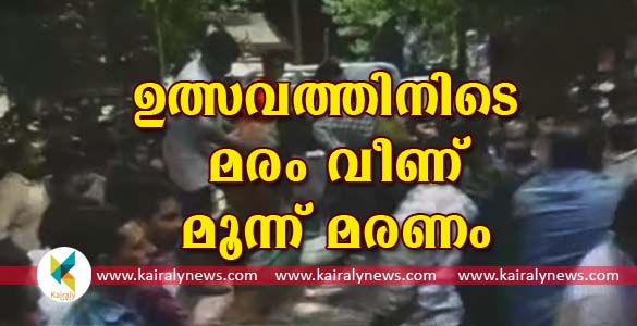 നിലമ്പൂര്‍ എടക്കര വനത്തില്‍ നടന്ന ആദിവാസി ഉത്സവത്തിനിടെ മരം വീണു മൂന്നു പേര്‍ മരിച്ചു