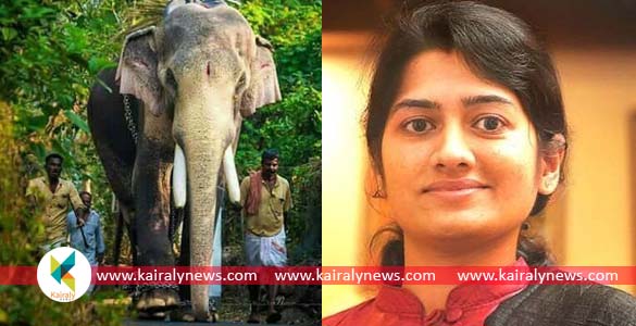13 പേരെ കൊന്ന തെച്ചിക്കോട്ടുകാവ് രാമചന്ദ്രനെ പൂരത്തിന് എഴുന്നള്ളിക്കാന്‍ അനുമതി നല്‍കില്ല - കളക്ടര്‍