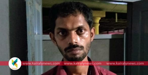 ഒന്നേകാല്‍ കിലോ കഞ്ചാവുമായി നെടുംകുന്നം സ്വദേശി യുവാവ് ഏറ്റുമാനൂരില്‍ പിടിയില്‍