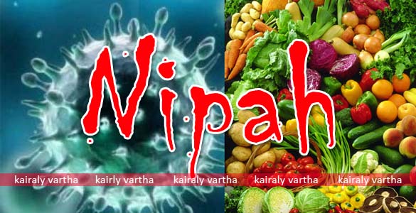 നിപ: ആറംഗ കേന്ദ്രസംഘം കേരളത്തിലെത്തി; വിദ്യാര്‍ത്ഥിയുടെ നിലയില്‍ പുരോഗതി