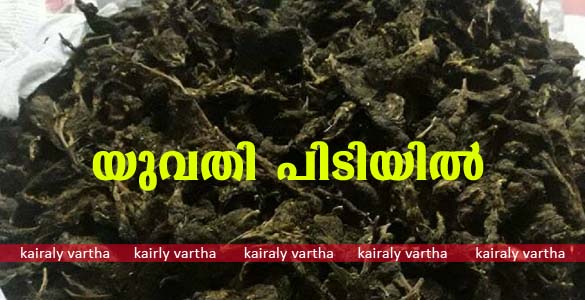 ഗുരുവായൂരില്‍ അഞ്ച് കിലോ കഞ്ചാവുമായി യുവതി പിടിയില്‍; പ്രതിക്ക് അന്തര്‍സംസ്ഥാന ബന്ധം