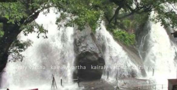 കിഴക്കൻ മേഖലയിൽ മഴ ശക്തമായി: തെന്മല ഡാമിൽ ജലനിരപ്പ് ഉയർന്നു; സഞ്ചാരികൾക്ക് നിരോധനം