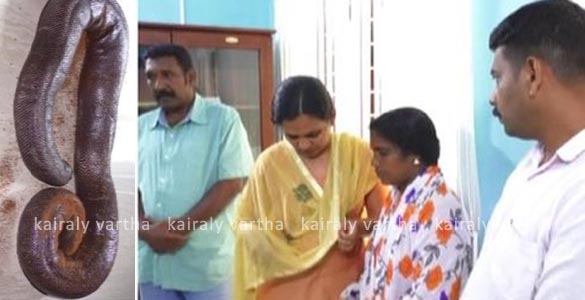 ഇരുതലമൂരി പാമ്പിനെ വില്‍ക്കാന്‍ ശ്രമം: കൊല്ലത്ത് രണ്ട് സ്ത്രീകള്‍ ഉള്‍പ്പടെ നാല് പേർപിടിയില്‍