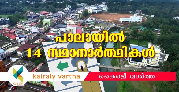 പാലാ ഉപതിരഞ്ഞെടുപ്പ്: സൂക്ഷ്മ പരിശോധന കഴിഞ്ഞു; മത്സര രംഗത്ത് 14 സ്ഥാനാര്‍ഥികള്‍