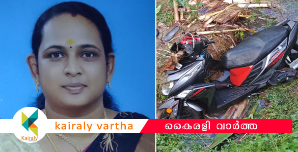 കടുത്തുരുത്തിയില്‍ സ്‌കൂട്ടറിന് മുകളിലേയ്ക്ക് വൈദ്യുതി കമ്പി പൊട്ടിവീണ് യുവതിയ്ക്ക് ദാരുണാന്ത്യം