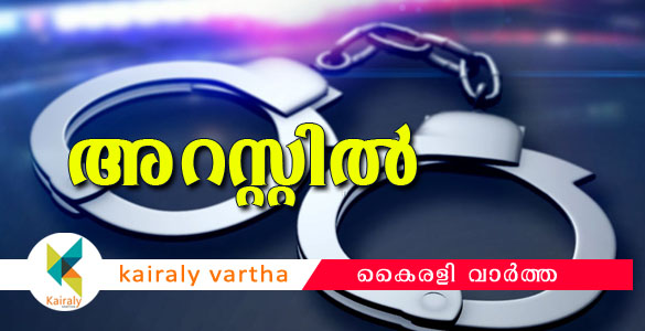 നിര്‍മാണം നടക്കുന്ന വീടുകളില്‍ നിന്ന് ഇലക്‌ട്രോണിക്സ് ഉപകരണങ്ങള്‍ മോഷ്ടിക്കുന്ന പ്രതി പിടിയില്‍