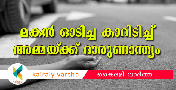 കൗമാരക്കാരനായ മകന്‍ ഓടിച്ച കാറിടിച്ച് യുഎഇയില്‍ ഇന്ത്യക്കാരിയ്ക്ക് ദാരുണാന്ത്യം