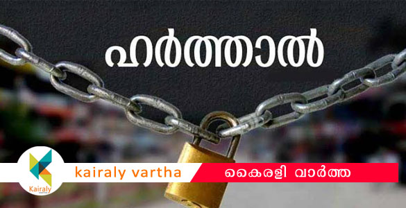 വാളയാർ കേസ്: സി.ബി.ഐ. അന്വേഷണം ആവശ്യപ്പെട്ട് പാലക്കാട്ട് ഇന്ന് യു.ഡി.എഫ്. ഹർത്താൽ