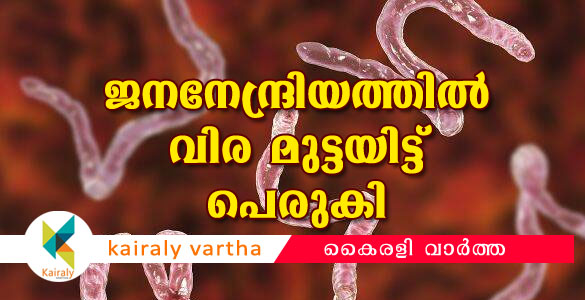 ലിംഗത്തിനുള്ളില്‍ മുട്ടയിട്ട് പെരുകി വിര; 32കാരന്‍ മരണത്തില്‍ നിന്ന് രക്ഷപ്പെട്ടത് തലനാരിഴയ്ക്ക്