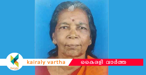 ചെങ്ങന്നൂർ പെണ്ണുക്കരയിൽ ബൈക്ക് ഇടിച്ച് പരിക്കേറ്റ് ചികിത്സയിലായിരുന്ന വീട്ടമ്മ മരണമടഞ്ഞു