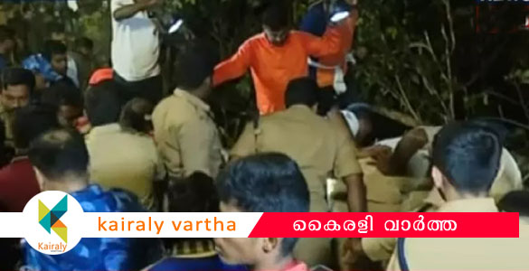 കാറ്റും മഴയും: ശബരിമല മരക്കൂട്ടത്ത് മരം വീണ് 13 അയ്യപ്പന്മാര്‍ക്ക് പരിക്ക്