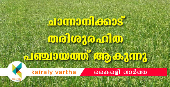 തരിശുരഹിത പഞ്ചായത്ത് ആകാനൊരുങ്ങി പനച്ചിക്കാട്; ഡിസംബര്‍ അവസാന വാരം വിത്ത് വിതയ്ക്കും