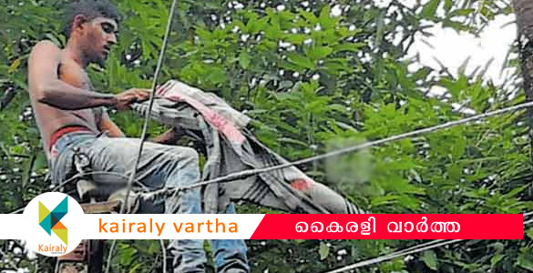 ഭാര്യ എത്തിയാല്‍ താഴെ ഇറങ്ങാം ; വൈദ്യുത തൂണില്‍ കയറി യുവാവിന്റെ ആത്മഹത്യ ഭീഷണി