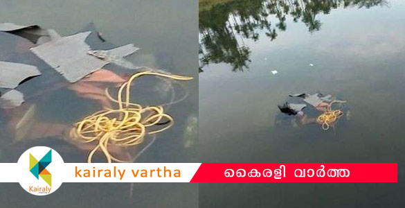 വനം വകുപ്പിന്‍റെ ജീപ്പ് പുഴയിലേക്ക് മറിഞ്ഞ് അപകടം: വനിതാ ഫോറസ്റ്റ് റെയ്ഞ്ച് ഓഫീസറും മരിച്ചു