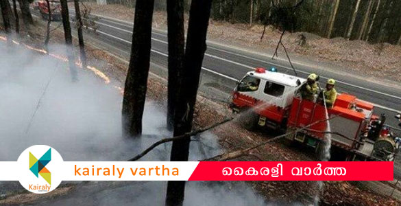 കാ​ട്ടു​തീ​യി​ൽ വെ​ന്തു​നീ​റി​യ ഓ​സ്ട്രേ​ലി​യ​യി​ൽ ആ​ശ്വാ​സ​മാ​യി ചാ​റ്റ​ൽ മ​ഴ​യും ത​ണു​ത്ത കാ​റ്റും