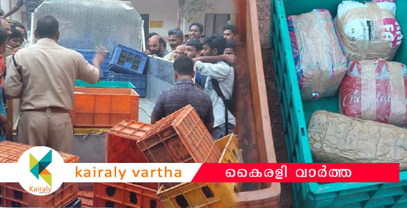 അപകടത്തില്‍പെട്ട മീൻ ലോറിയില്‍ നിന്ന് പിടികൂടിയത് 20 കിലോ കഞ്ചാവ്