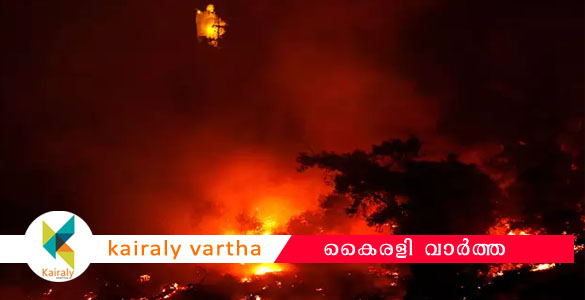 പത്തനംതിട്ട വനമേഖലയില്‍ കാട്ടുതീ : ഏക്കറ് കണക്കിന് സ്ഥലം കത്തിനശിച്ചെന്ന് റിപ്പോര്‍ട്ട് :  ആളപായമില്ല