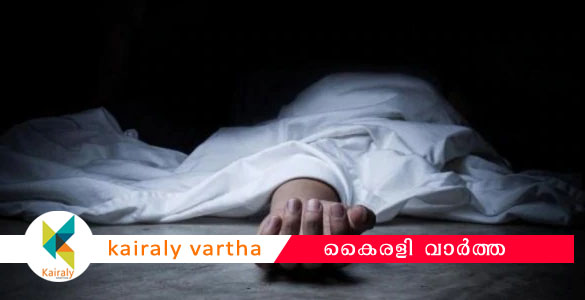 അമ്മയെയും മൂന്ന് മാസമുള്ള കുഞ്ഞിനെയും പൊള്ളലേറ്റ് മരിച്ച നിലയില്‍ കണ്ടെത്തി