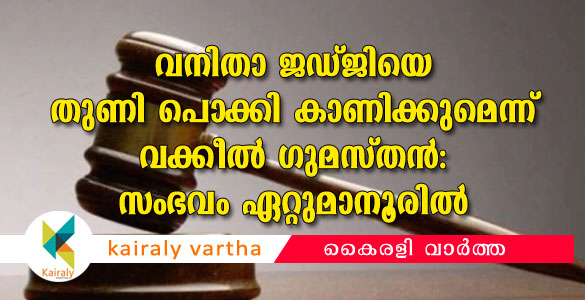 വനിതാജഡ്ജിയെ തുണിപൊക്കി കാണിക്കുമെന്ന് പറഞ്ഞ വക്കീല്‍ ഗുമസ്തനെതിരെ കേസ്