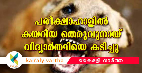 എസ്എസ്എല്‍സി പരീക്ഷ എഴുതവെ വിദ്യാര്‍ത്ഥിക്ക് തെരുവുനായയുടെ കടിയേറ്റു