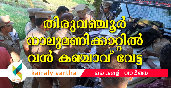 കോട്ടയം നാലുമണിക്കാറ്റില്‍ വന്‍കഞ്ചാവ് വേട്ട: വയനാട് സ്വദേശികള്‍ കസ്റ്റഡിയില്‍