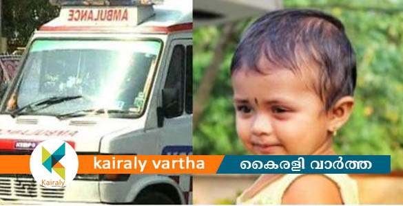 ഒന്നര വയസുകാരിക്ക് കരുതല്‍: അൻവിതയുമായി ആംബുലൻസ് ഹൈദരാബാദിലേയ്ക്ക് പുറപ്പെട്ടു