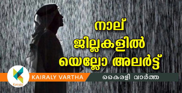 പാലക്കാട്, മലപ്പുറം, കോഴിക്കോട്, വയനാട്  ജില്ലകളില്‍ യെല്ലോ അലര്‍ട്ട്: കനത്തമഴയ്ക്ക് സാധ്യത