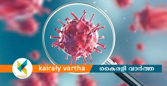 പത്തനംതിട്ടയില്‍ കൊറോണ രോഗിയുടെ വളര്‍ത്തു നായയും നിരീക്ഷണത്തില്‍