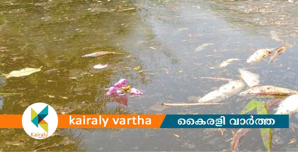 ക്ഷേത്രക്കുളത്തില്‍ മീനുകള്‍ ചത്തുപൊങ്ങിയത് ജലത്തില്‍ അമ്ലാംശം കൂടിയതിനാല്‍