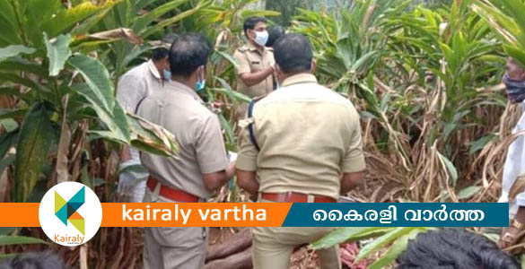 ദേവികുളത്തിന് സമീപം കാട്ടുപോത്തിന്റെ ആക്രമണത്തിൽ ഏലം കർഷകൻ മരിച്ചു