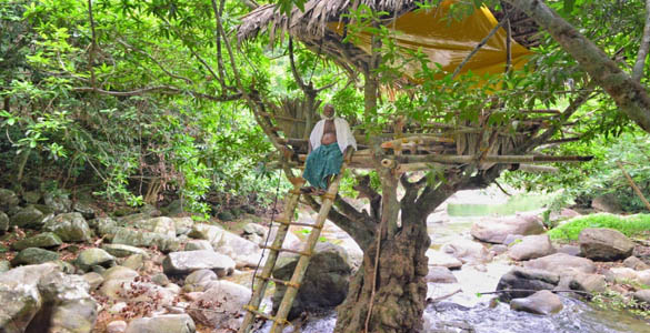 പൂഞ്ഞാറുകാര് 'പുലി'കളാ! ലോക്ക്ഡൗണില്‍ ഏറുമാടം പണിതത് മീനച്ചിലാറിന്‍റെ നടുക്ക്