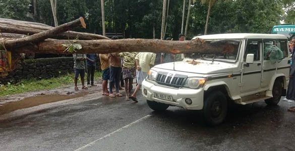 തടിലോറിയുടെ പിന്നിലിടിച്ച ജീപ്പിലേക്ക് തടി കുത്തികയറി; 2 പേര്‍ക്ക് പരിക്ക്