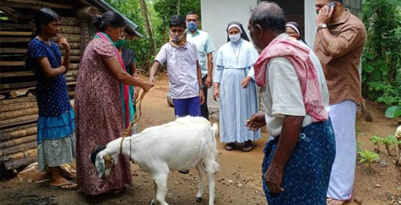 വിദ്യാര്‍ത്ഥികള്‍ക്ക് ആട് വളര്‍ത്തല്‍ പദ്ധതിയുമായി മംഗലം ഡാം ലൂർദ് മാതാ സ്കൂൾ