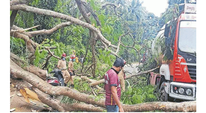 ഓടിക്കൊണ്ടിരുന്ന സ്‌കൂട്ടറിന് മുകളിലേക്ക് മരം വീണു; അച്ഛനും മകനും അദ്ഭുതകരമായി രക്ഷപ്പെട്ടു