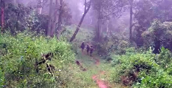 ഗൂഗിള്‍ മാപ്പ് നോക്കി തേക്കടിക്ക്​ പോയ യുവാക്കള്‍ എത്തിയത്​ ശബരിമലയില്‍