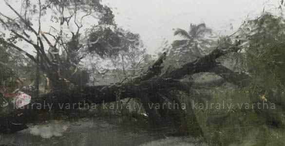 ശക്തമായ കാറ്റില്‍ കോട്ടയം ജില്ലയുടെ വിവിധ ഭാഗങ്ങളില്‍  വന്‍നാശനഷ്ടം