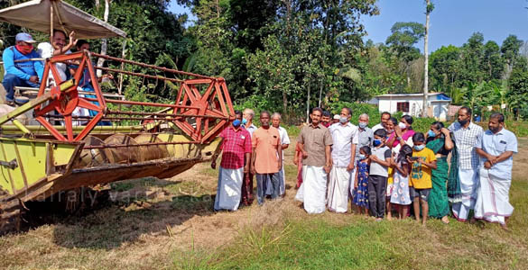 വീണ്ടും കൊയ്ത്ത്പാട്ടിന്‍റെ താളം: നൂറുമേനി വിളവിന്‍റെ സമൃദ്ധിയില്‍ കാപ്പുകയത്തെ കര്‍ഷകര്‍