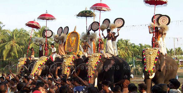 പാലക്കാട് 10 ക്ഷേത്രങ്ങളില്‍ ഉത്സവത്തിന് നിബന്ധനകളോടെ ആനകളെ എഴുന്നള്ളിക്കാം